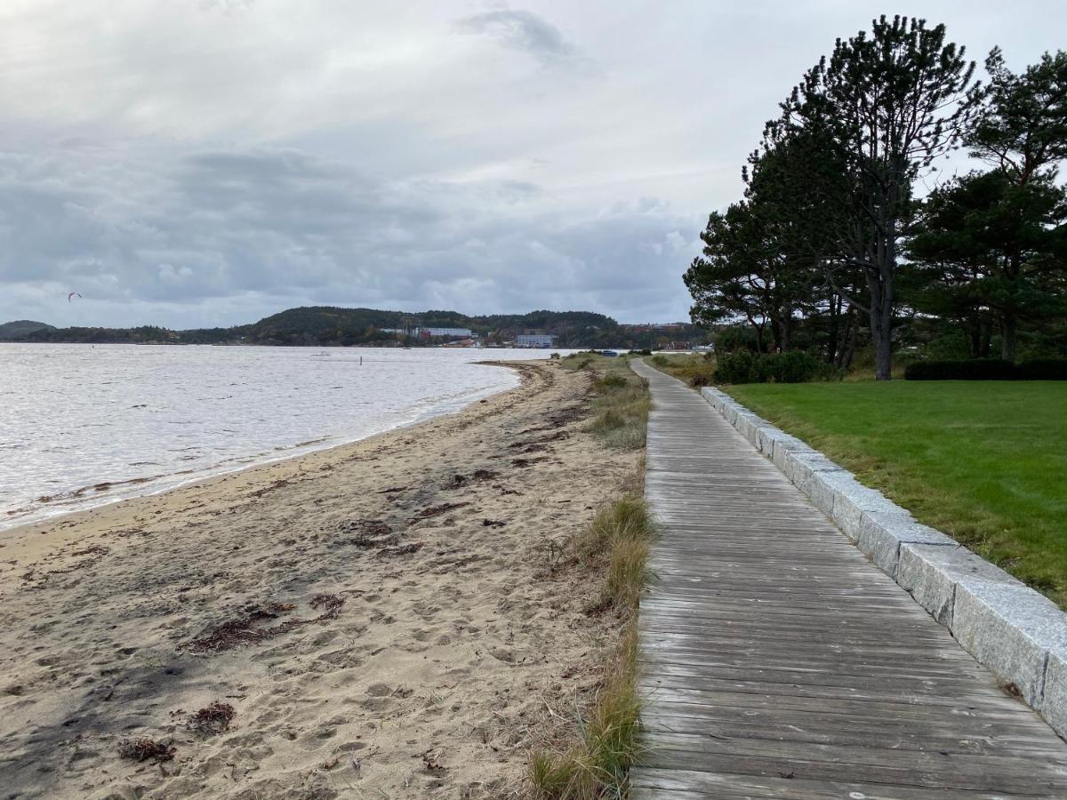 Sorlandet, Naer Stranden Og Kristiansand Dyrepark